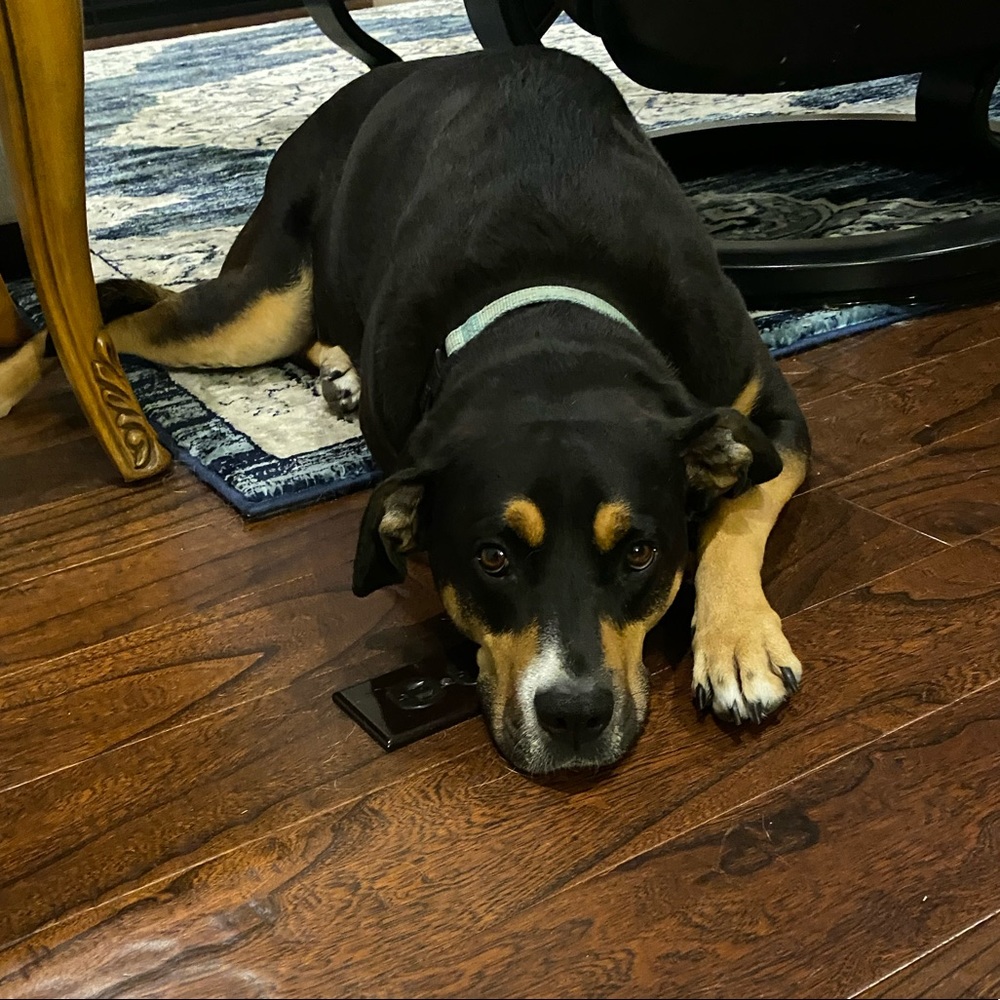 Meet your Posher, Tiffany